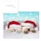 Hortense B. Hewitt Co. Christmas Cats Holiday Cards